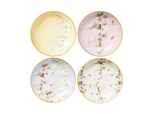 MW Royal Botanic Gardens Foxglove Dish 12cm Set of 4 Assorted Gift Boxed