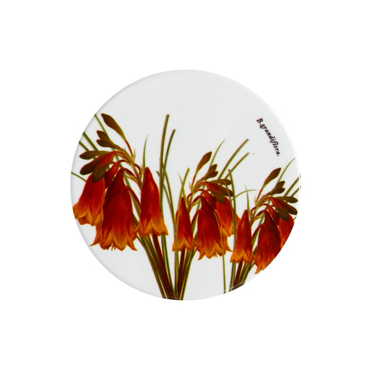 MW Royal Botanic Gardens Australian Botanics Coaster 9.5cm Christmas Bells