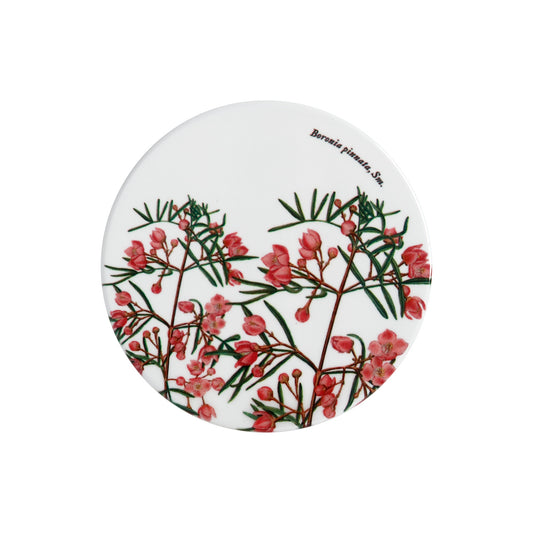 MW Royal Botanic Gardens Australian Botanics Coaster 9.5cm Boronia