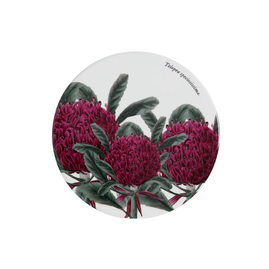 MW Royal Botanic Gardens Australian Botanics Coaster 9.5cm Telopea