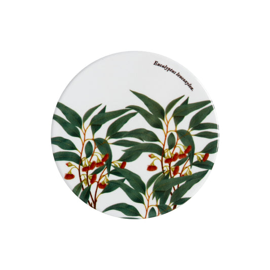 MW Royal Botanic Gardens Australian Botanics Coaster 9.5cm Flowering Gum