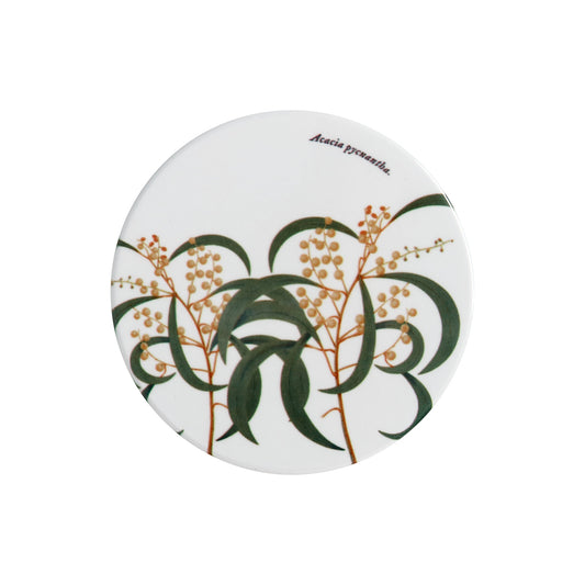 MW Royal Botanic Gardens Australian Botanics Coaster 9.5cm Wattle