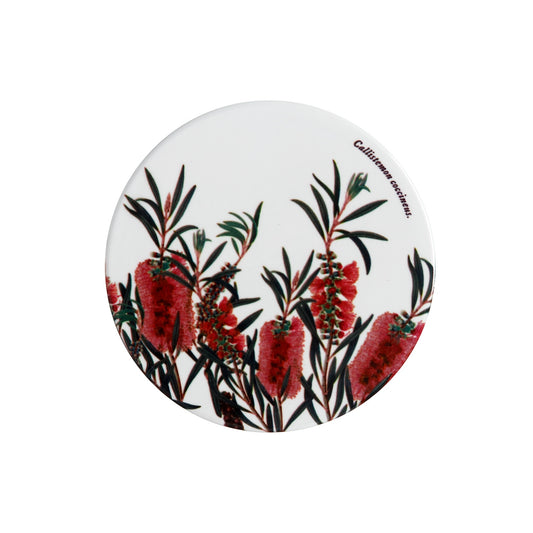 MW Royal Botanic Gardens Australian Botanics Coaster 9.5cm Bottlebrush