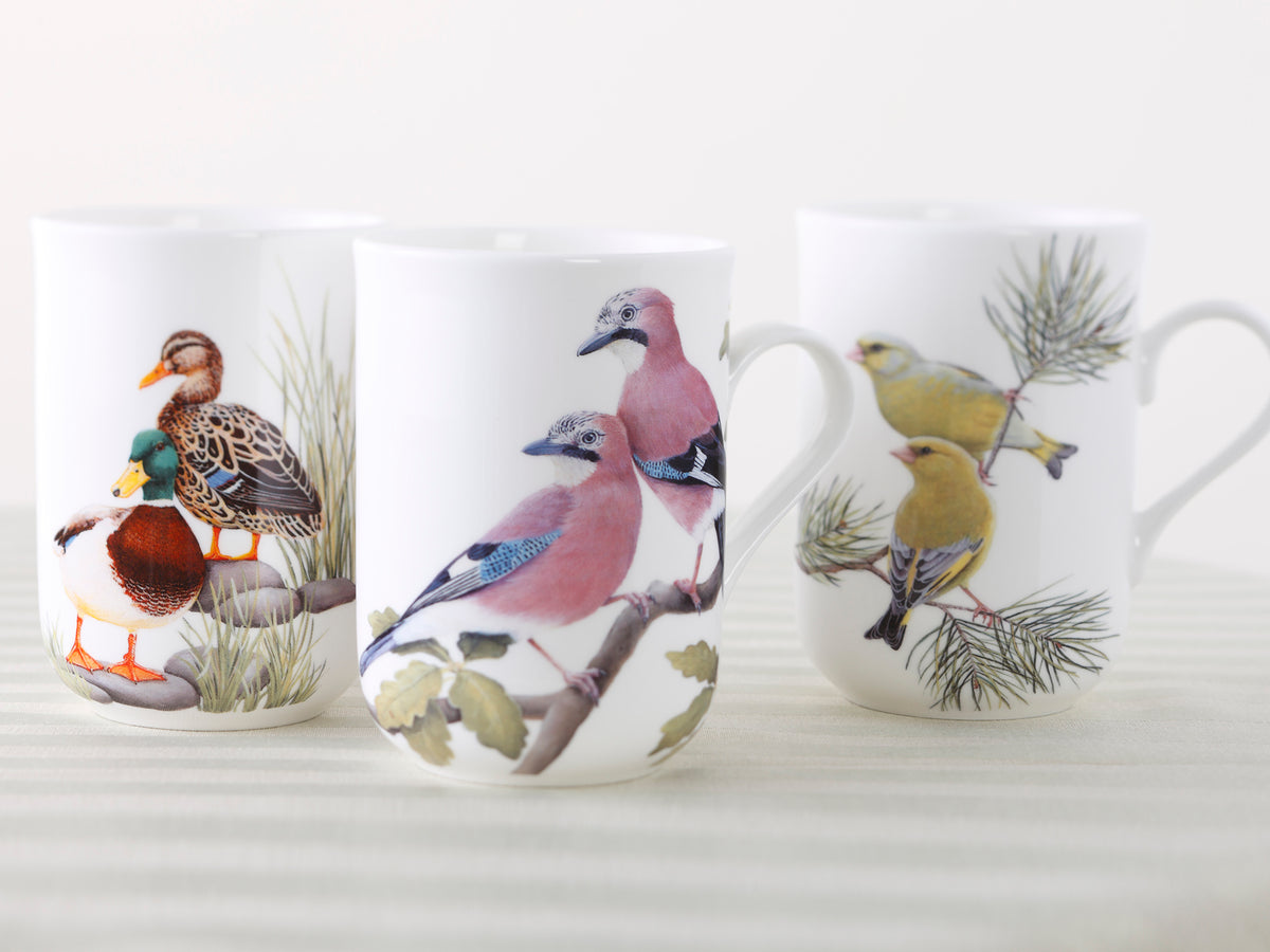 Maxwell & Williams Birds Of The World Kathrine Castle Mug Greenfinches  300ml
